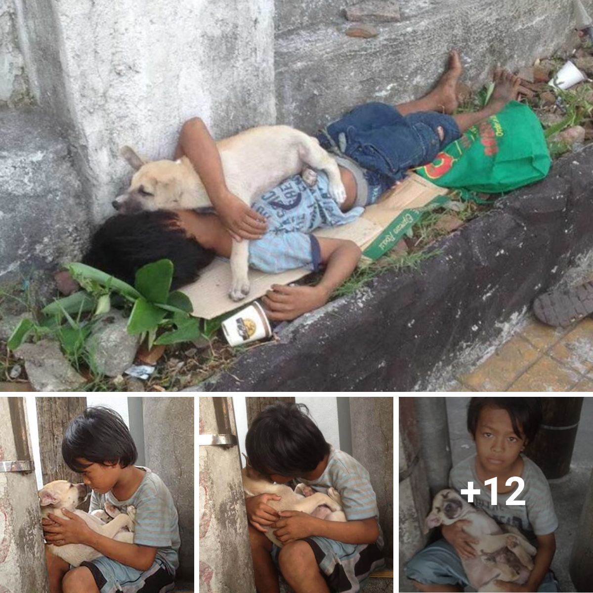 Moving Story The Orphaned Boy's Connection with a Little